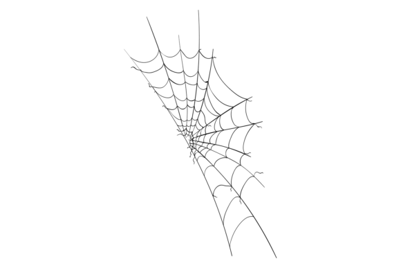 Decorative Spider Web. Arachnid Net Black